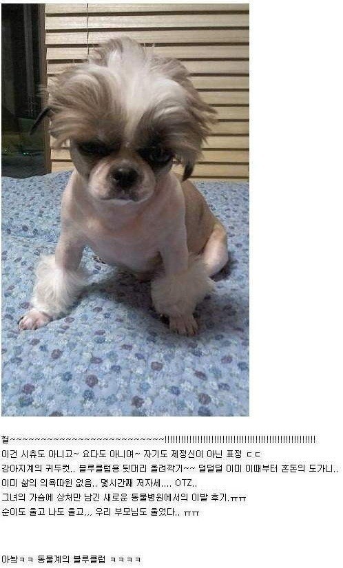 강4.jpg