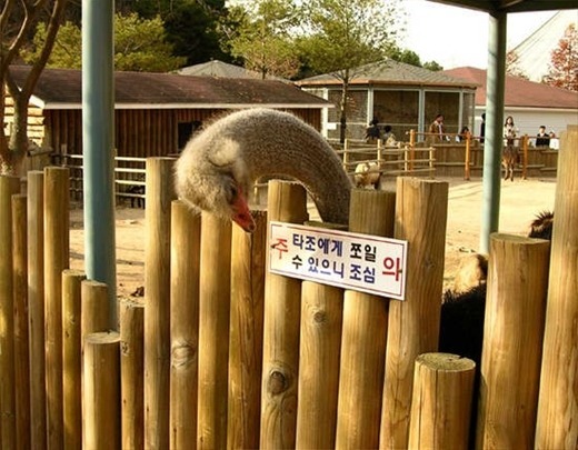 주의.jpg