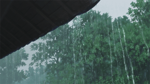 vlvl 234.GIF