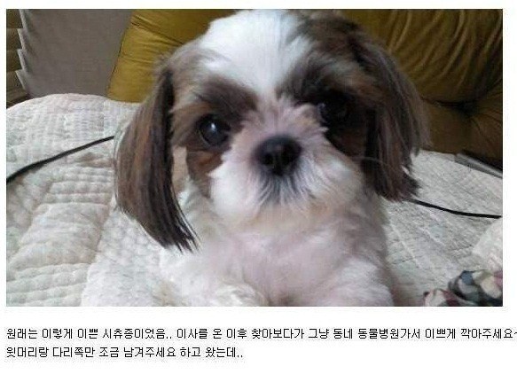강1.jpg