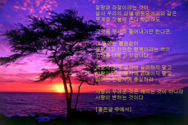 sunset103.jpg