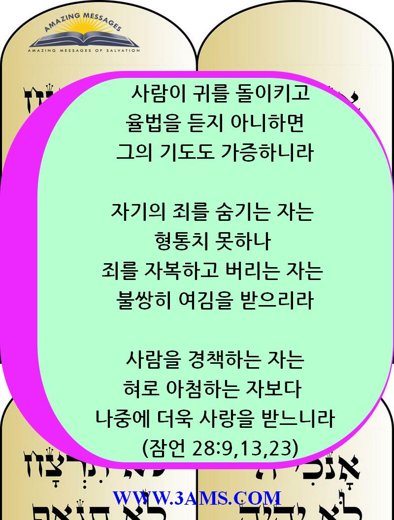 AM_B_201607220246362775.jpg